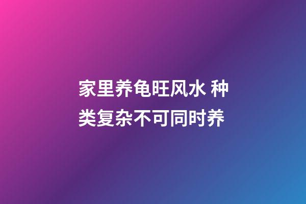 家里养龟旺风水 种类复杂不可同时养